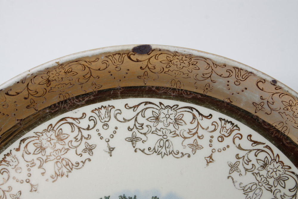 George and Martha Washington and D.C. Plate Collection