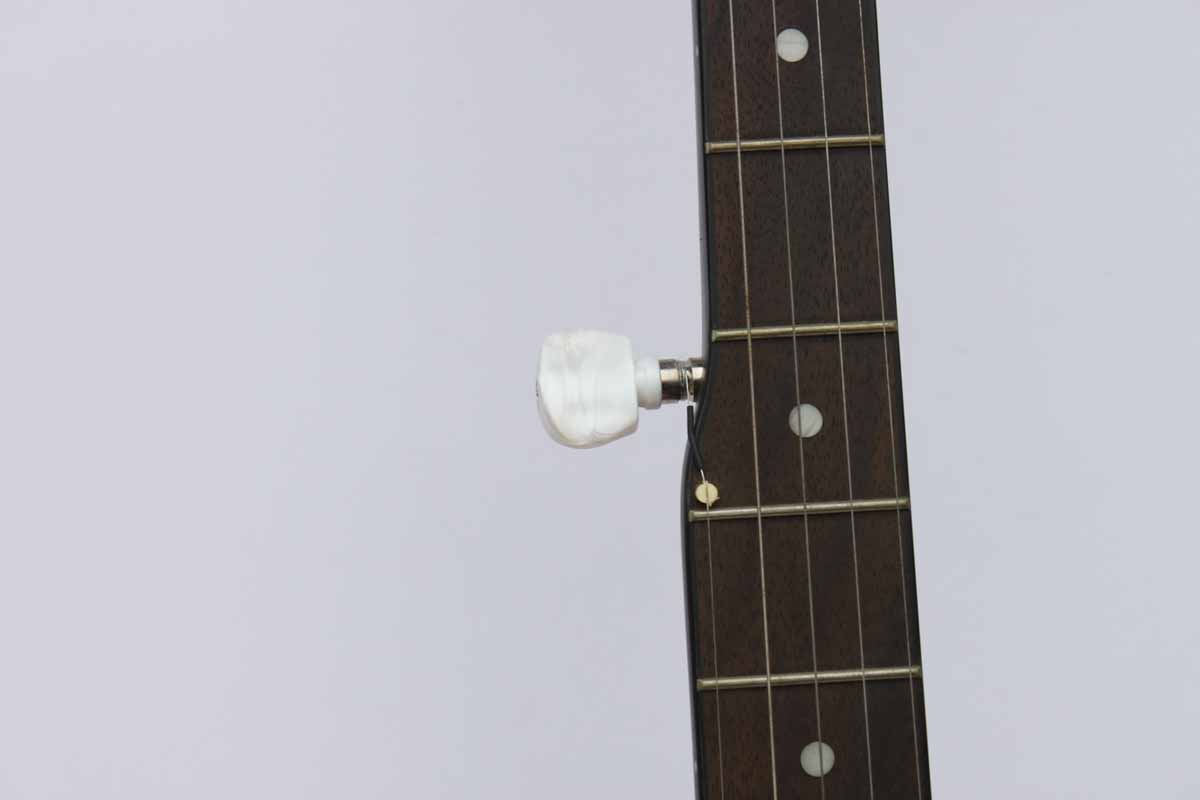 Johnson JB-080 5 String Banjo
