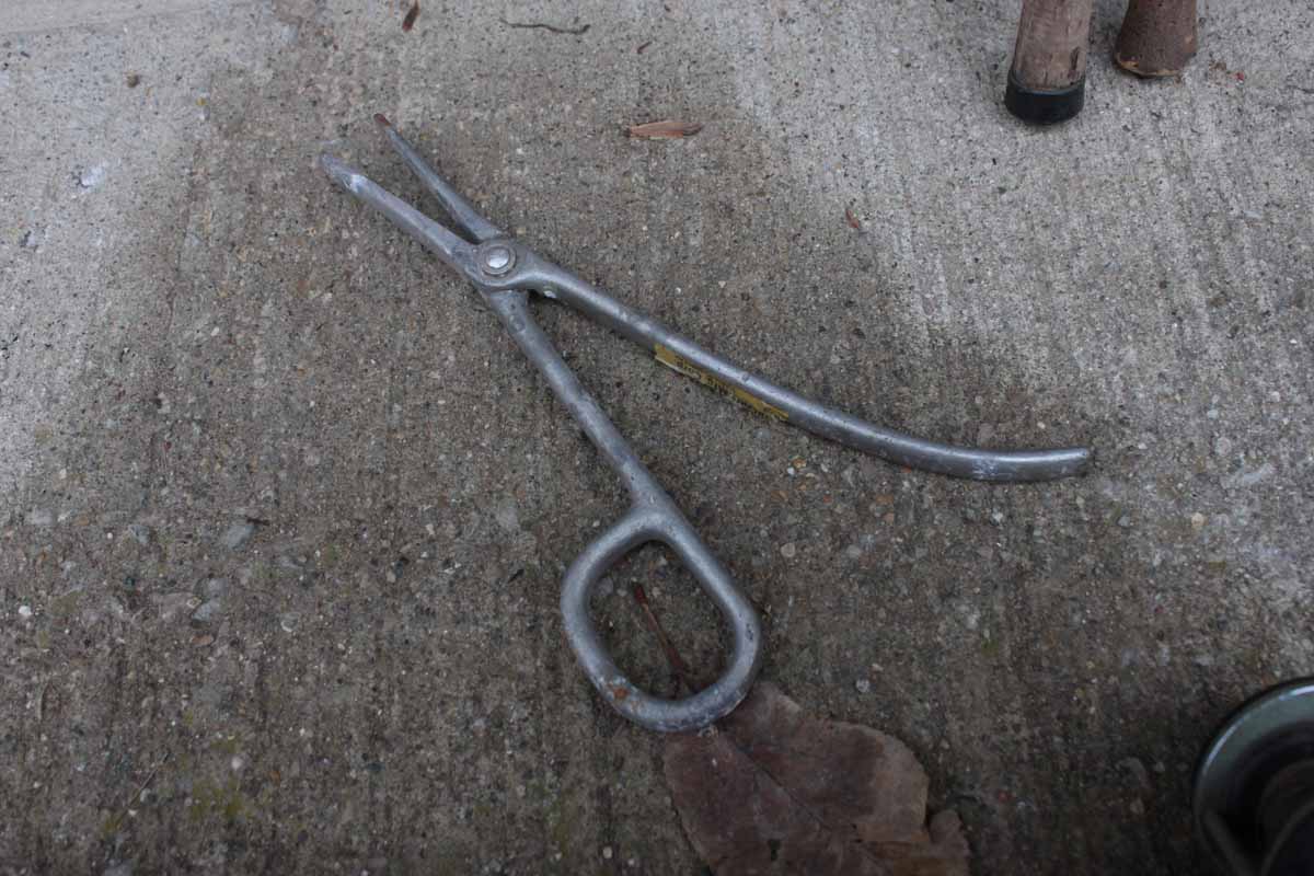 Assortment of Fishing Poles and Tackle