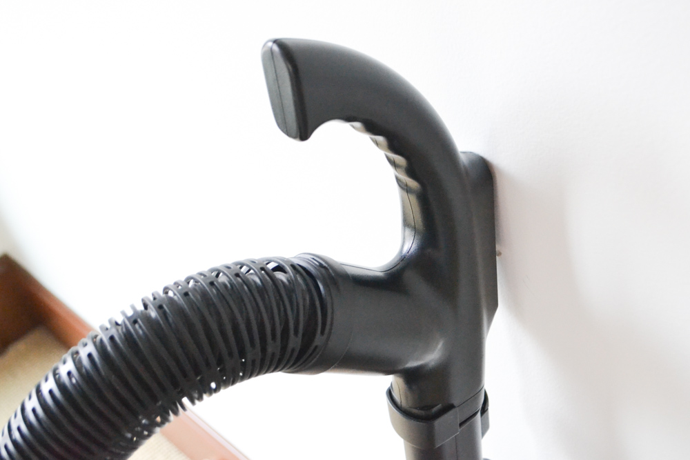 Riccar Impeccable Canister Vacuum