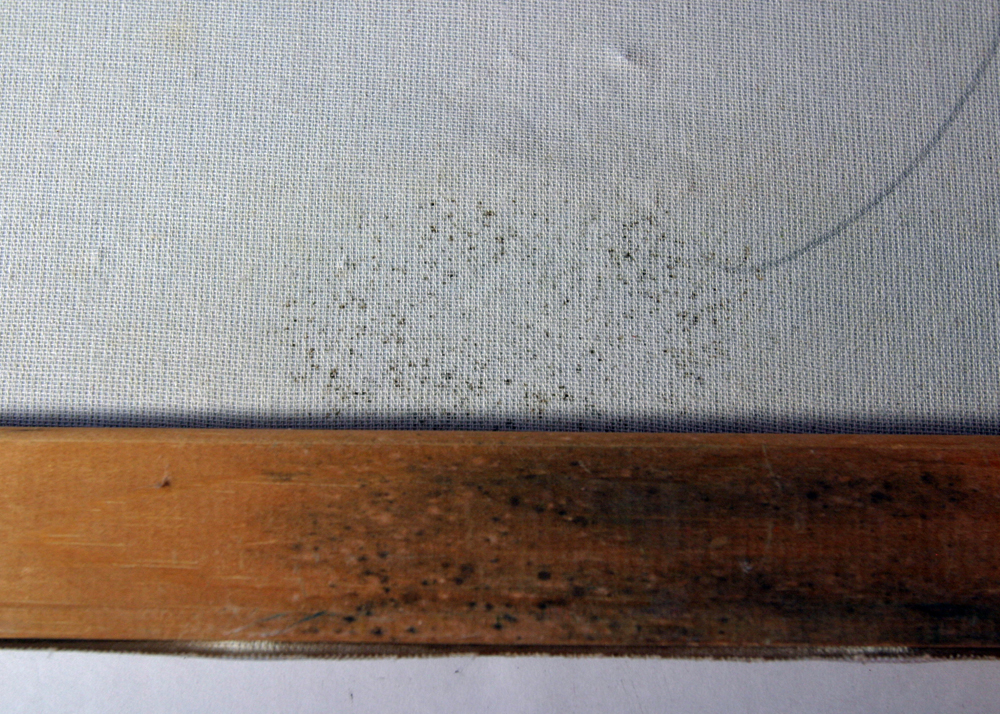 Pair of Parisian "Burnett" Oil Paintings