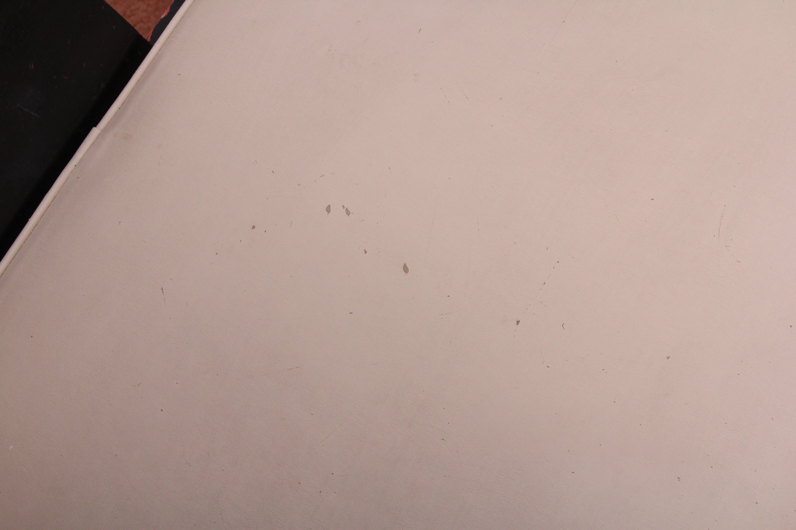 Pair of Japanese Ebonized Empire Style Chairs