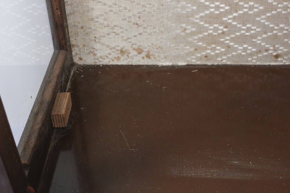 Glass Cabinet with Door