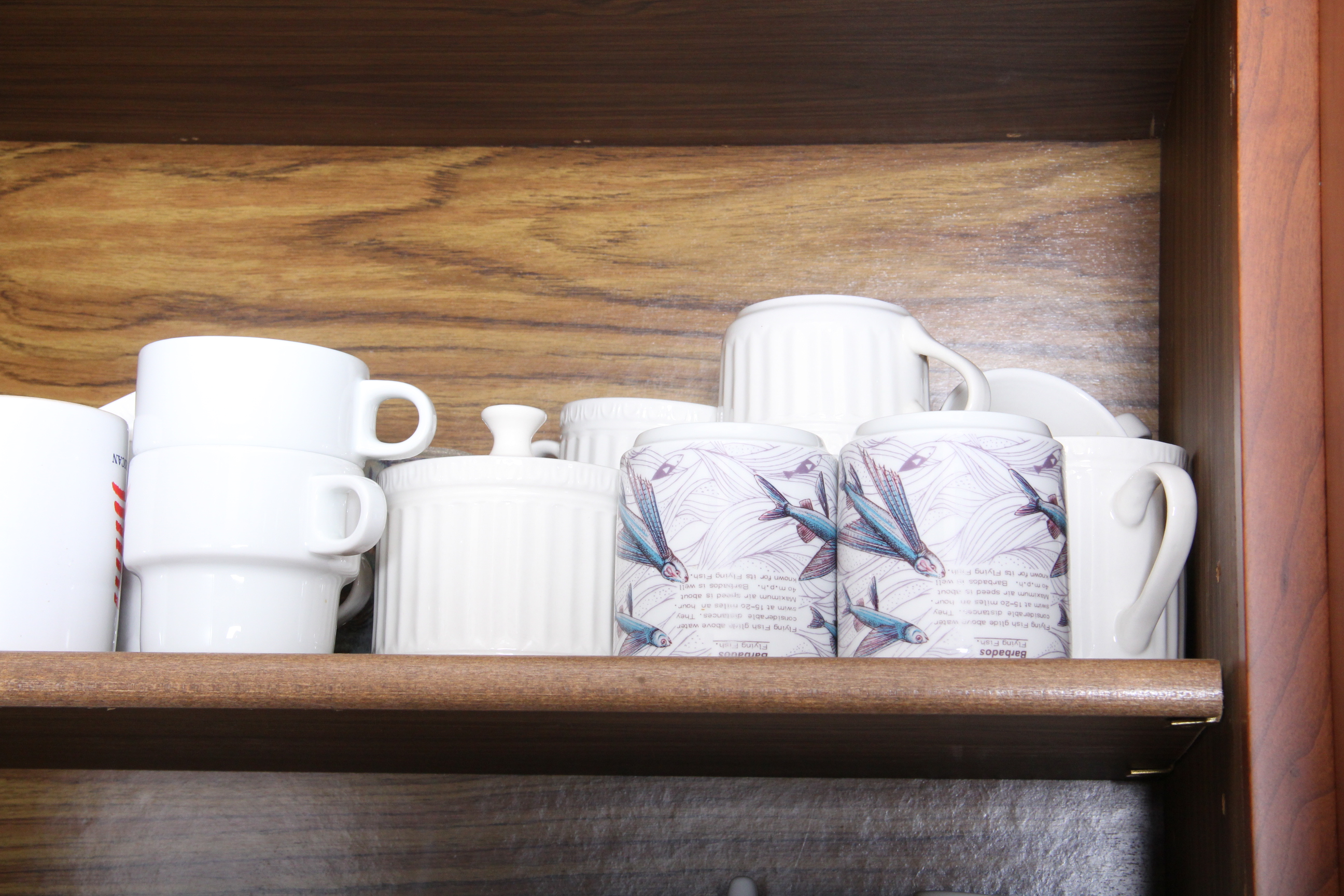 Collection of Everyday Mugs