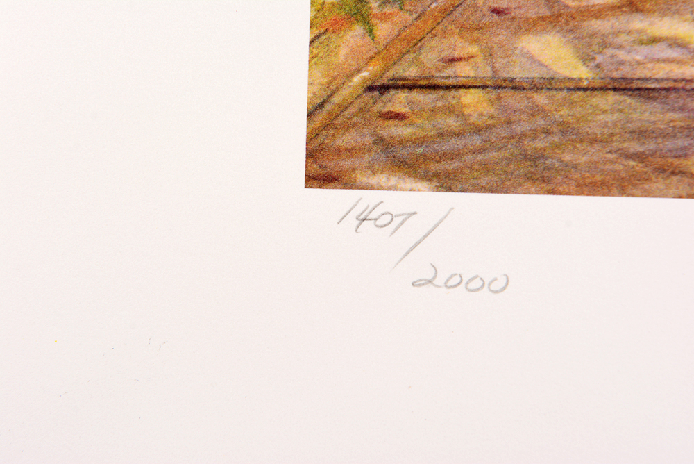 Trisha Romance Offset Lithographs