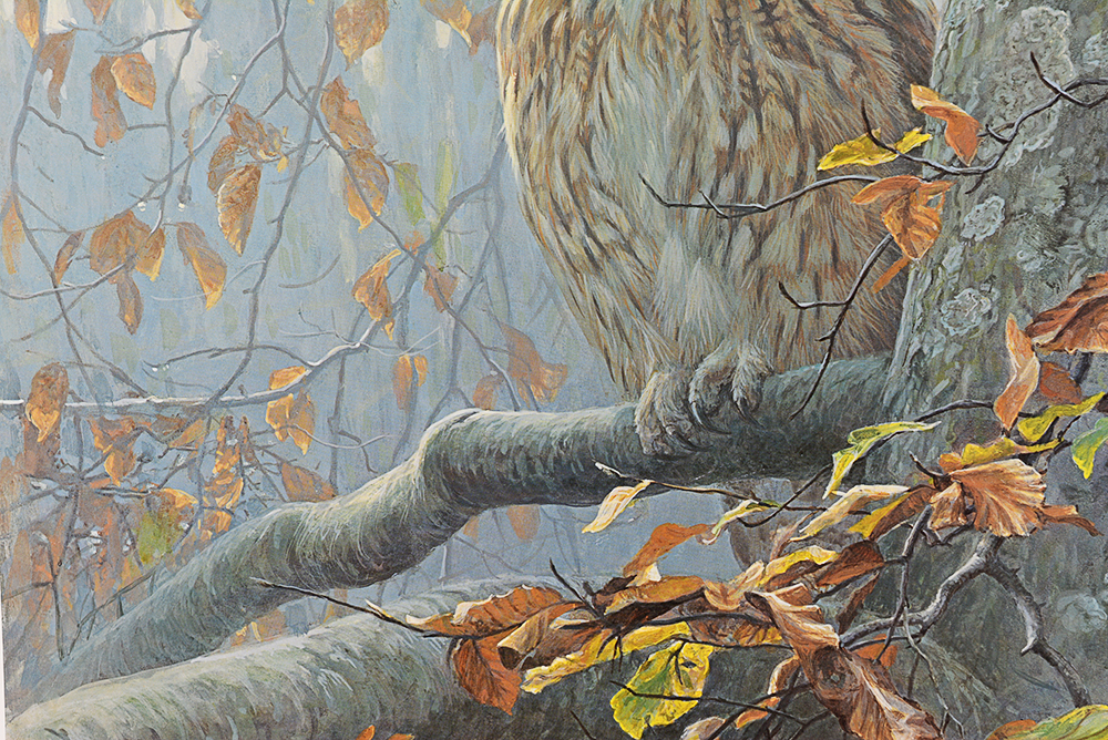 Robert Bateman "Tawny Owl in Beech" Limited Ed. Offset Lithograph