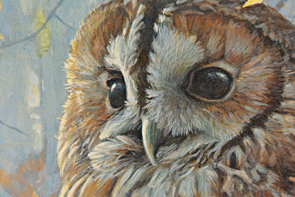 Robert Bateman "Tawny Owl in Beech" Limited Ed. Offset Lithograph