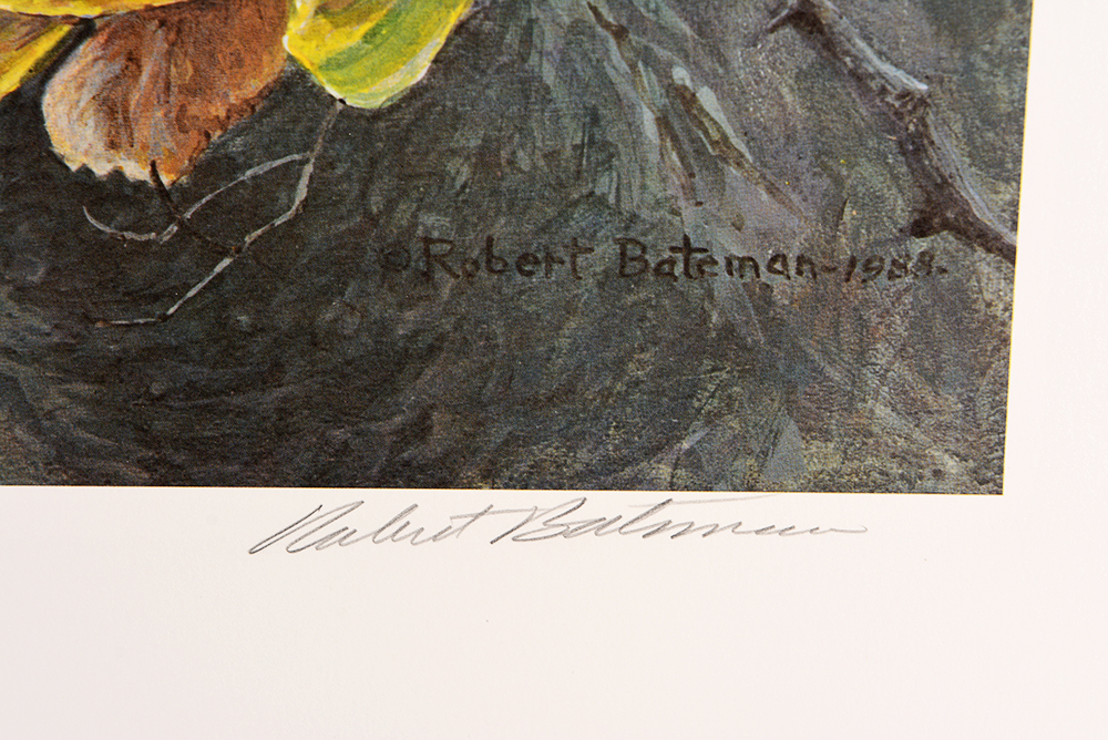 Robert Bateman "Tawny Owl in Beech" Limited Ed. Offset Lithograph