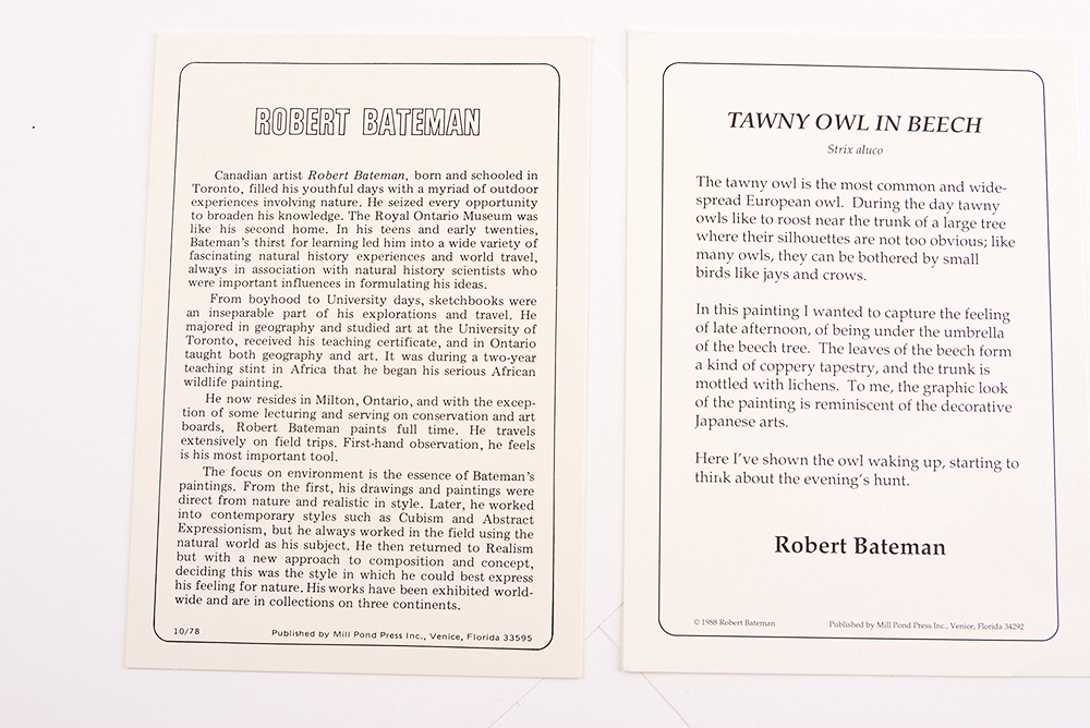 Robert Bateman "Tawny Owl in Beech" Limited Ed. Offset Lithograph