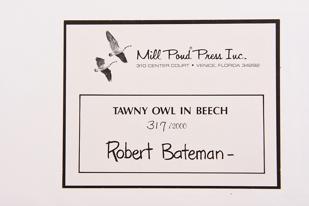 Robert Bateman "Tawny Owl in Beech" Limited Ed. Offset Lithograph