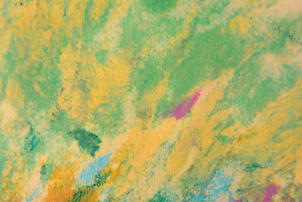 "Wild Irises" Landscape Photo-Offset Print