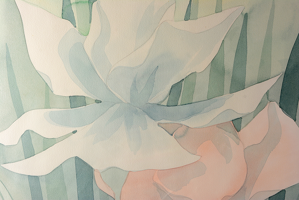 Iris Watercolor Paintings