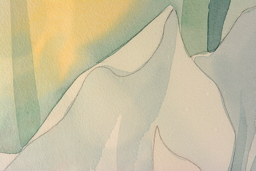 Iris Watercolor Paintings