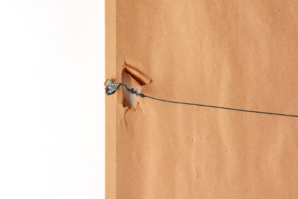 Iris Watercolor Paintings