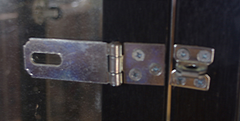 Ebony Cabinet with Glass