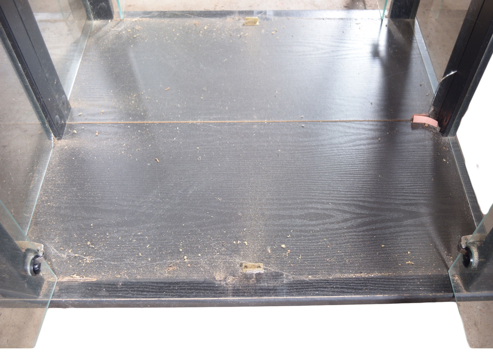 Ebony Cabinet with Glass