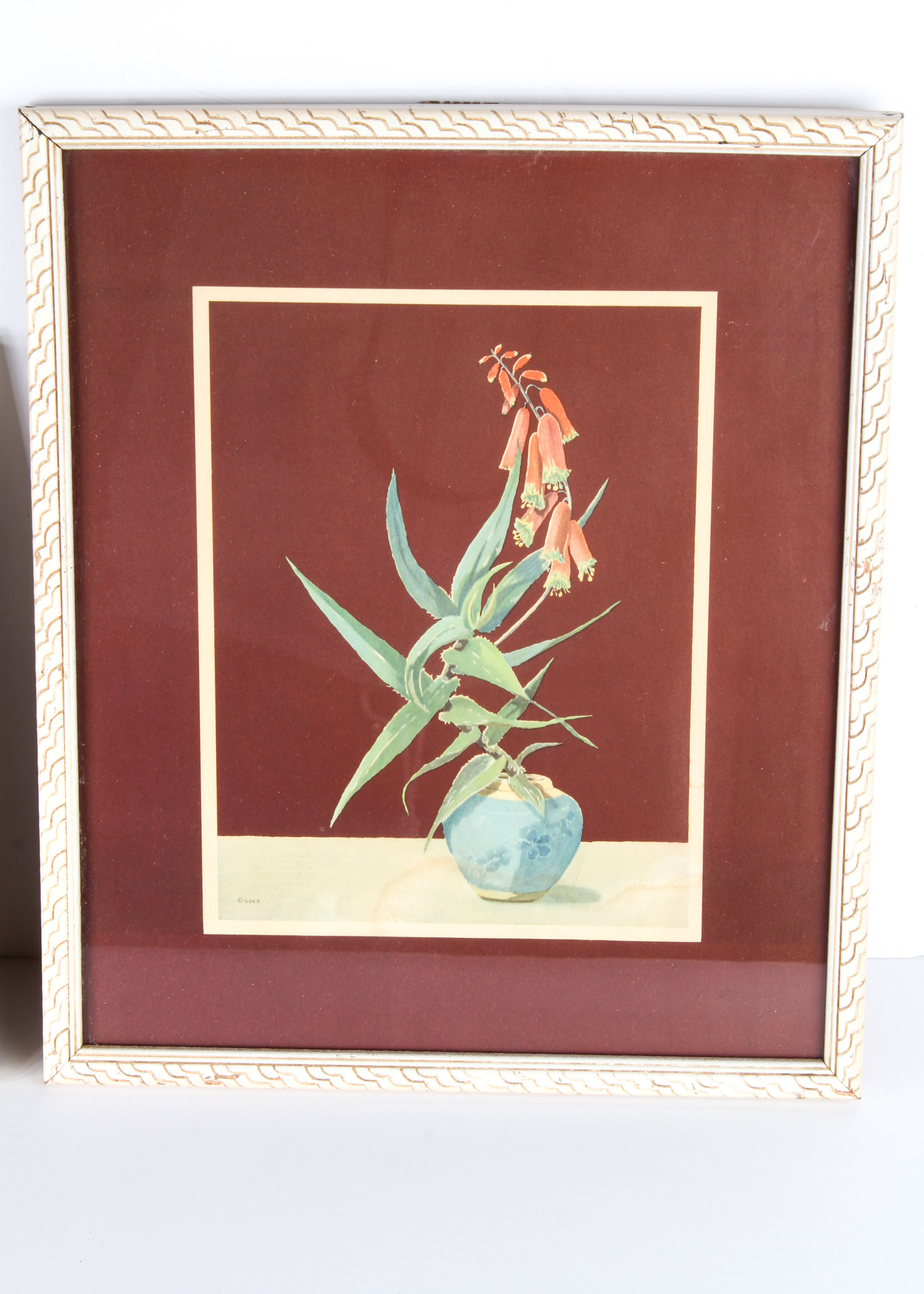 Pair of Vintage Framed Floral Prints