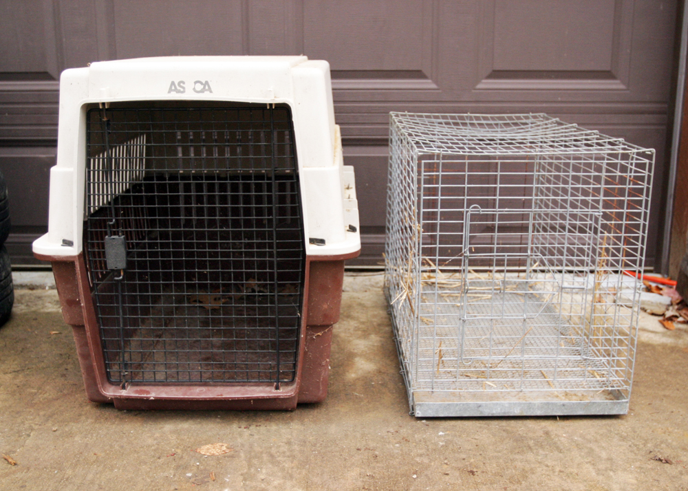 Pair of Animal Crates