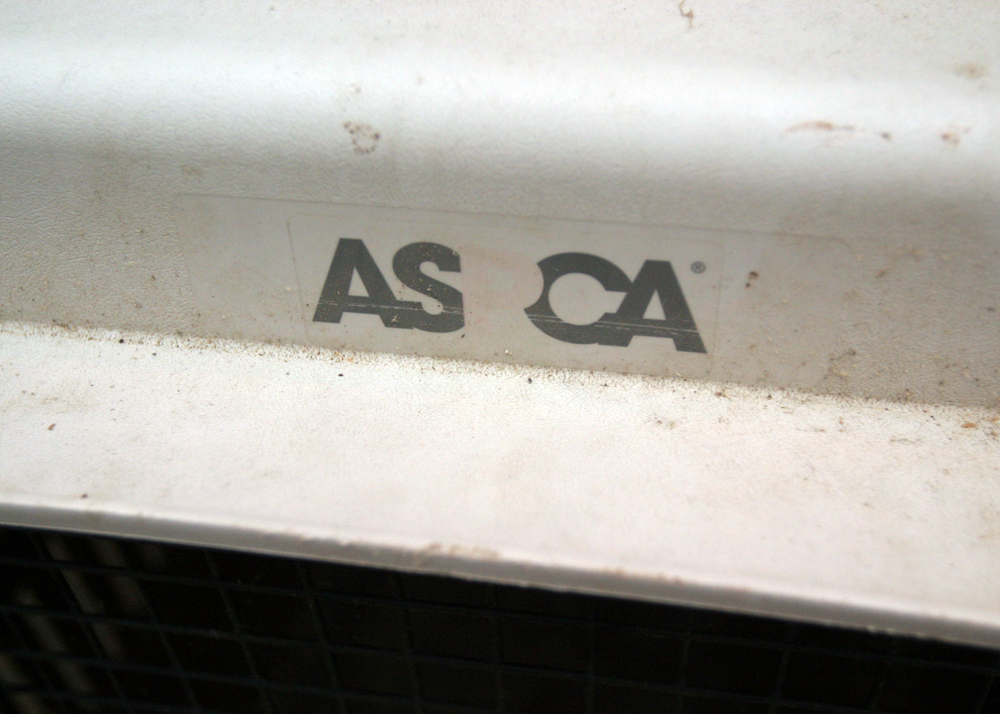 Pair of Animal Crates