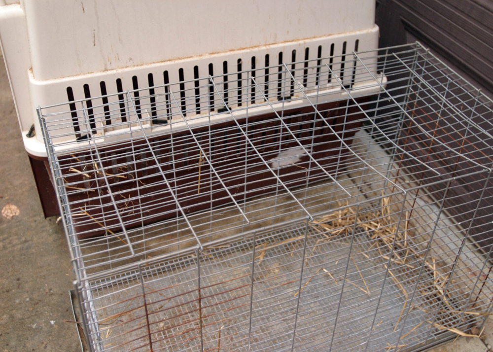 Pair of Animal Crates