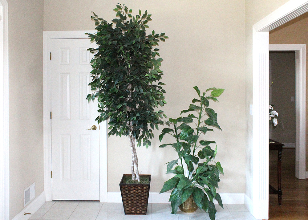 Pair of Indoor Fake Green Trees