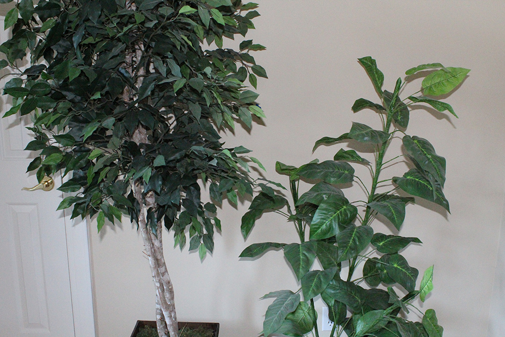 Pair of Indoor Fake Green Trees