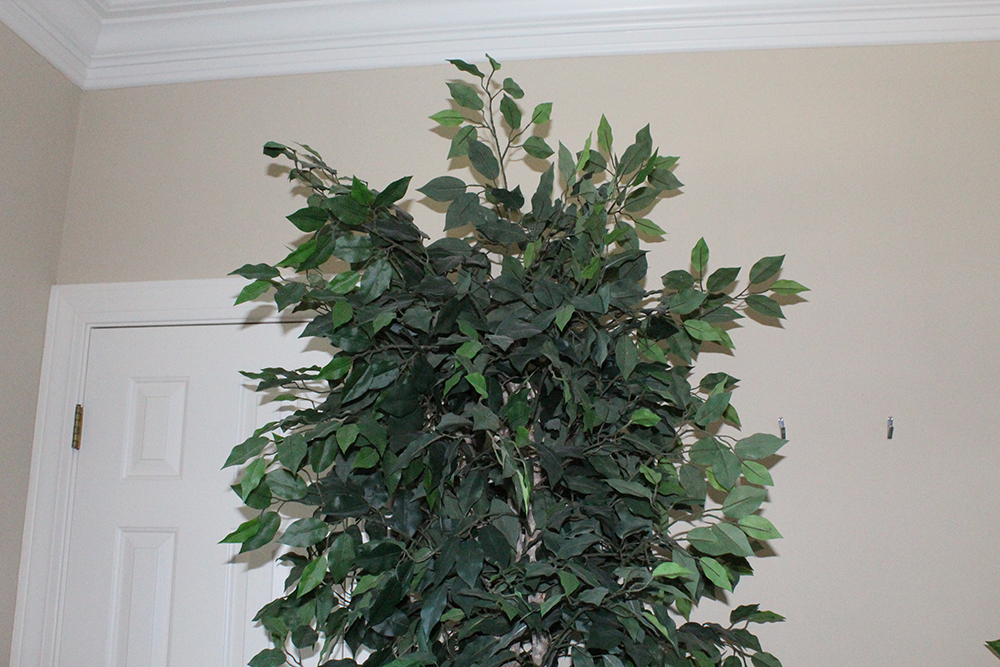 Pair of Indoor Fake Green Trees