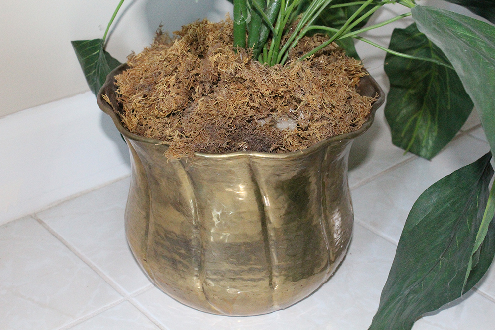 Pair of Indoor Fake Green Trees