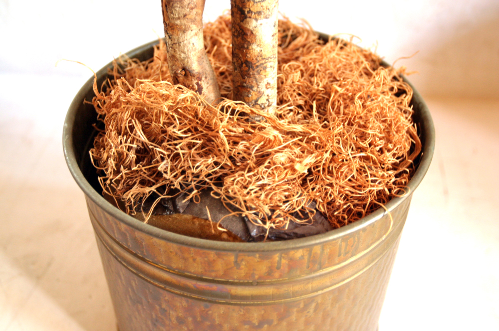 Potted Faux Ficus Tree