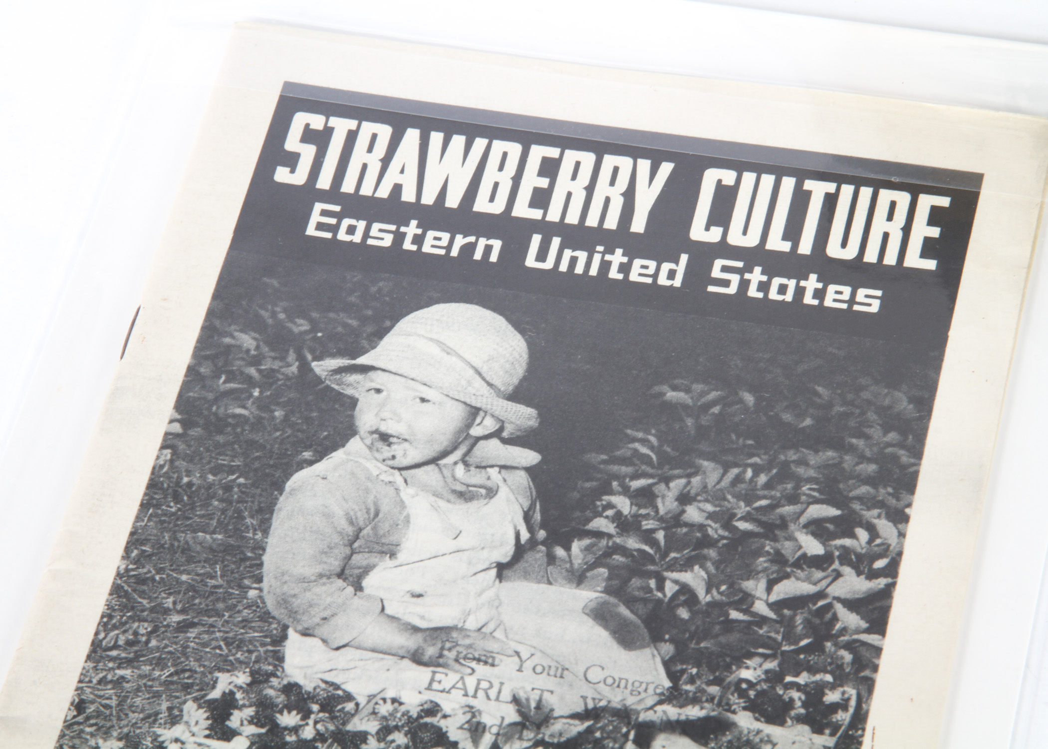 Collection of Five Vintage Farmers' Bulletins