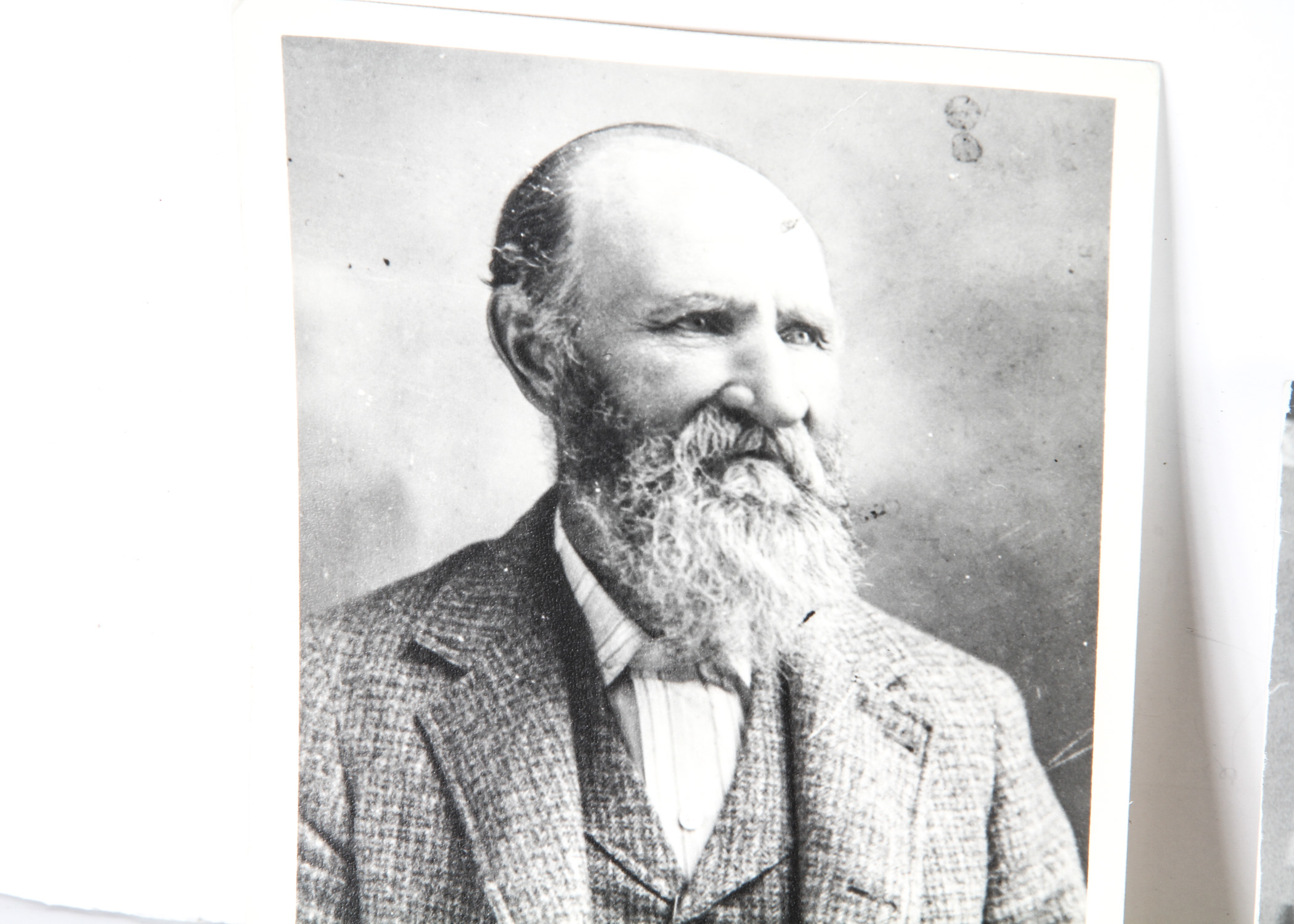 Collection of Vintage and Antique Black-and-White Photographs