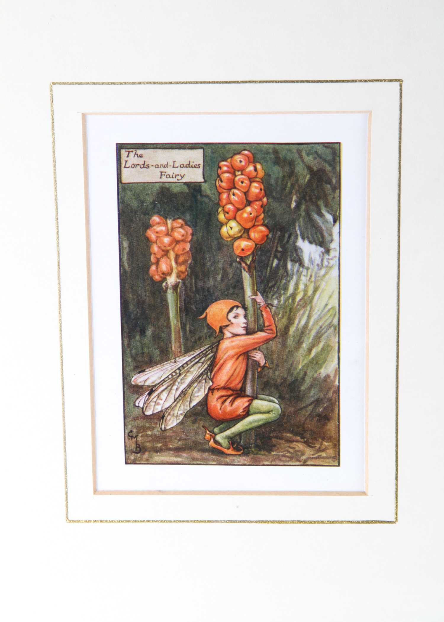 Pair of Framed Cicely Mary Barker Vintage Prints