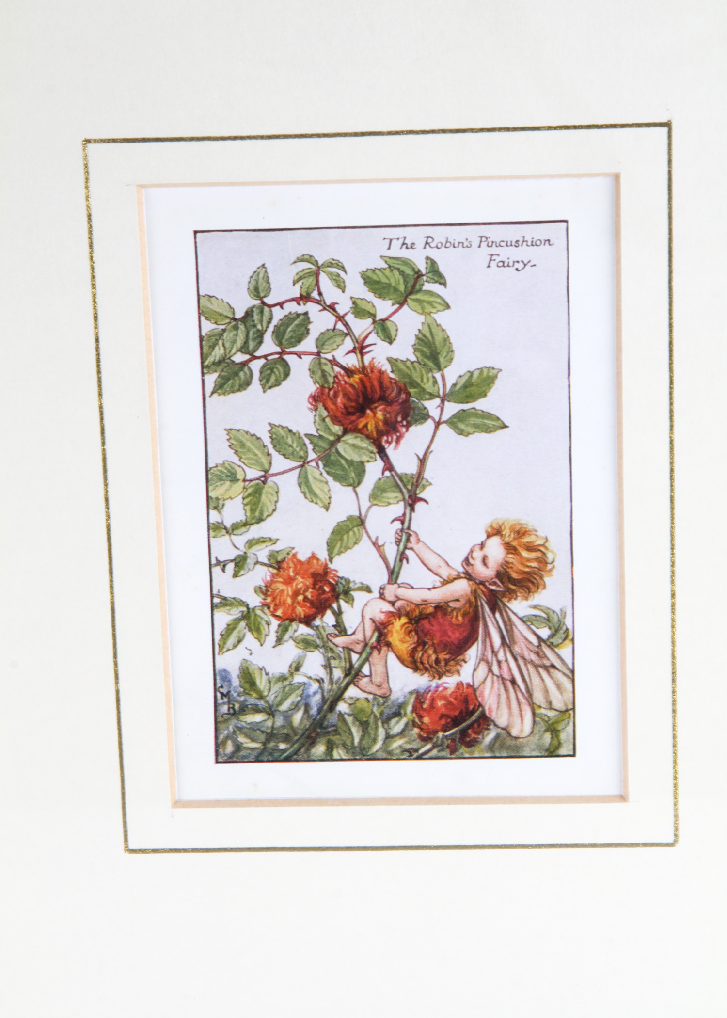 Pair of Framed Cicely Mary Barker Vintage Prints