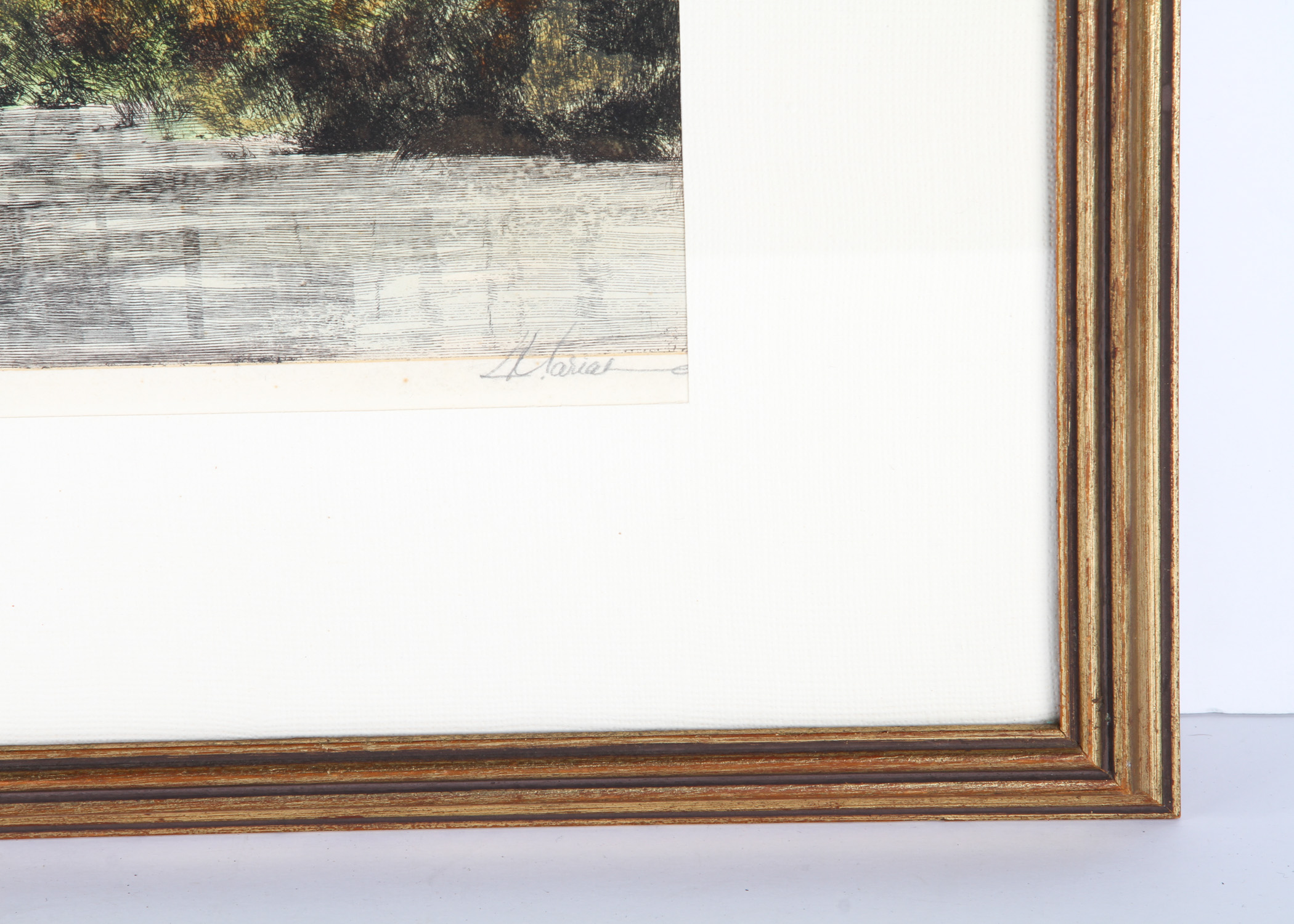 Signed and Numbered Framed Ink Drawing