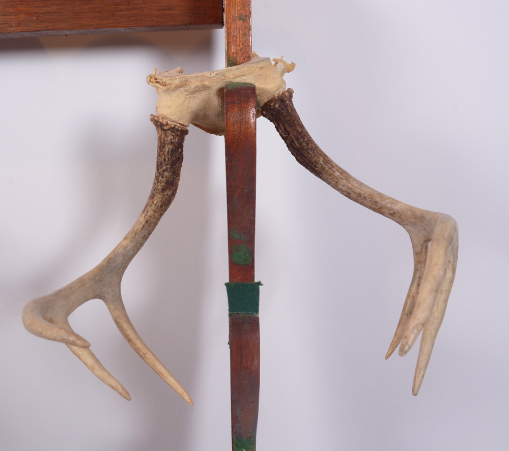 Collection of Hunting Gear