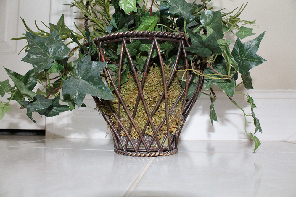 Indoor Decorative Potted Flowers