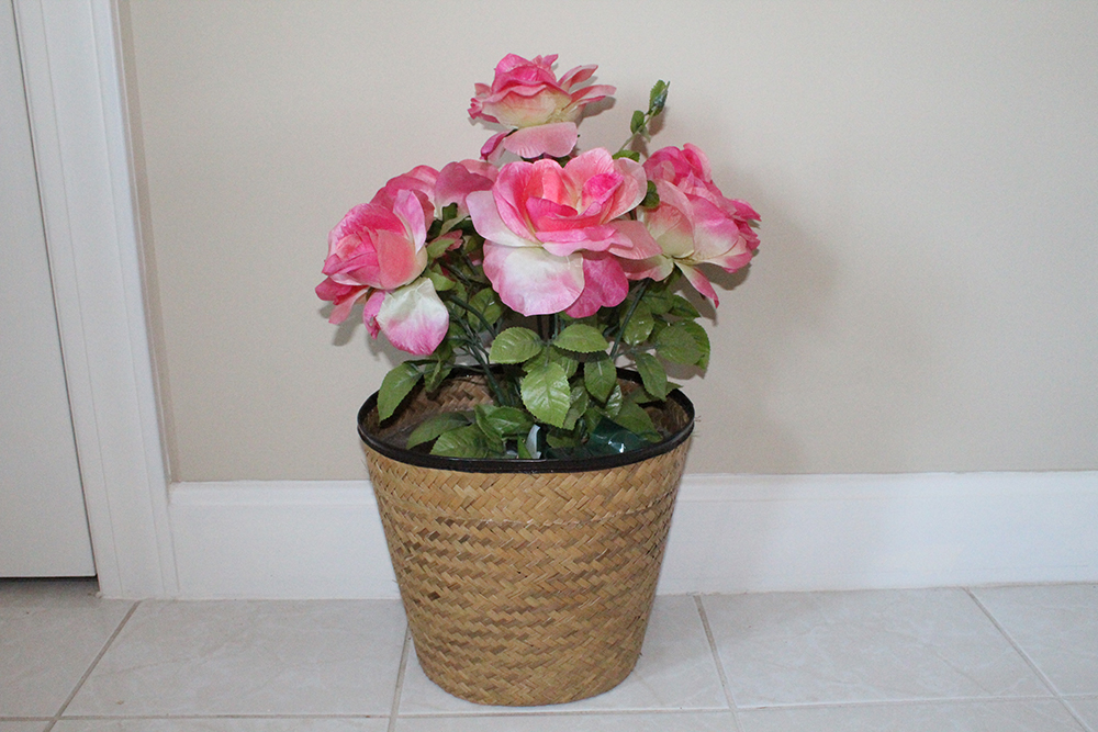 Indoor Decorative Potted Flowers