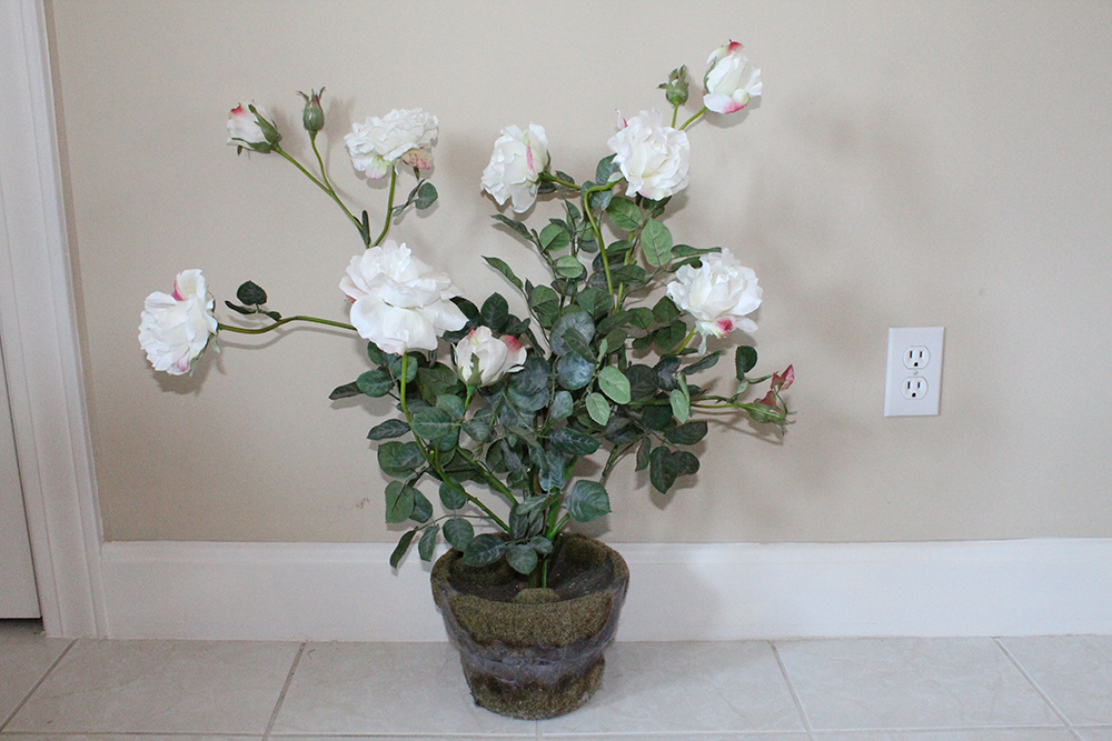 Indoor Decorative Potted Flowers