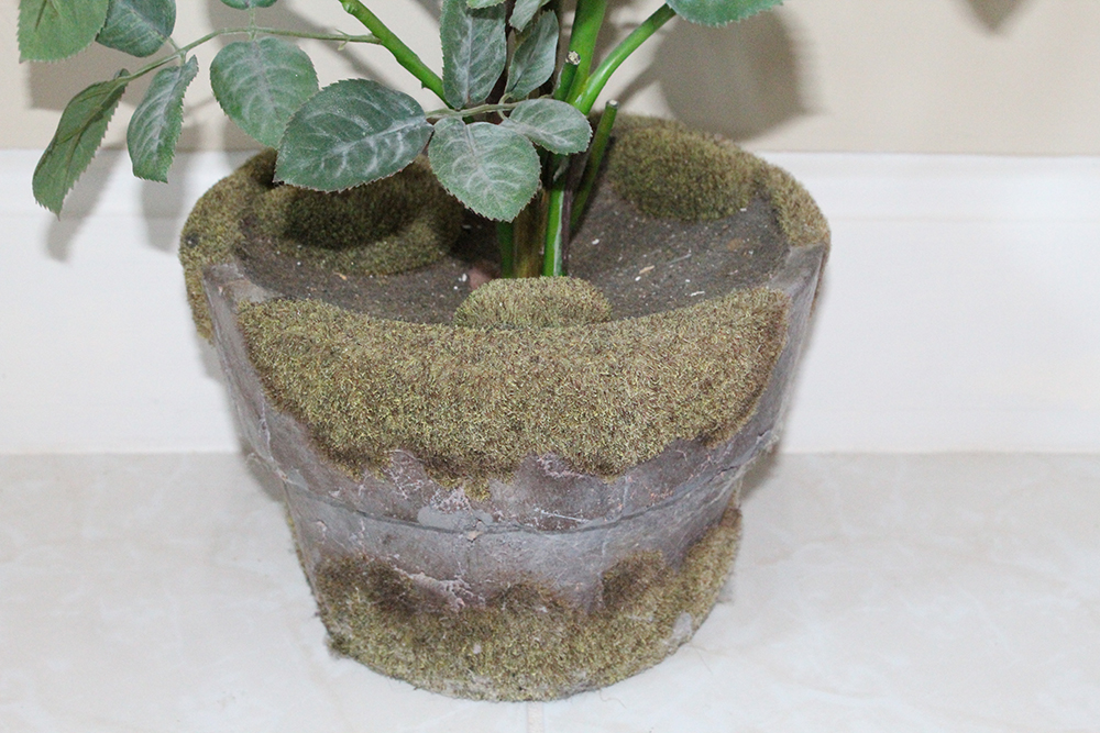 Indoor Decorative Potted Flowers