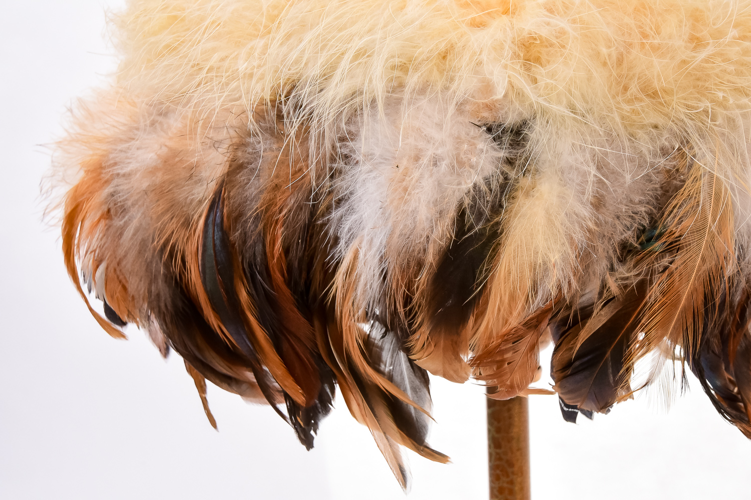 Florentine Inspired Decor