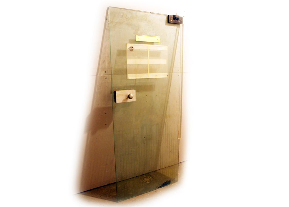 Glass Shower Door