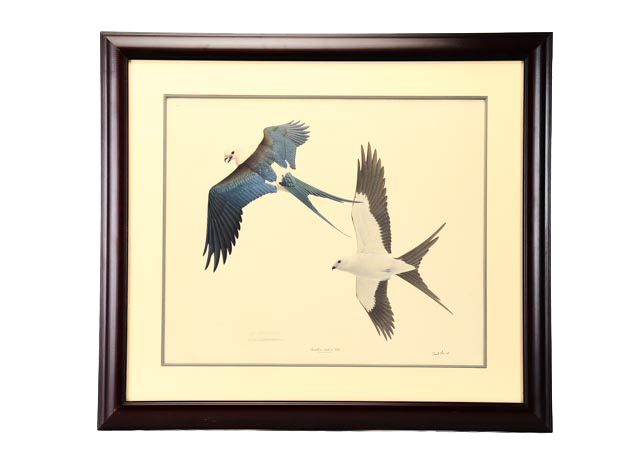 William Zimmerman Offset Lithograph of "Swallow-tailed Kite"