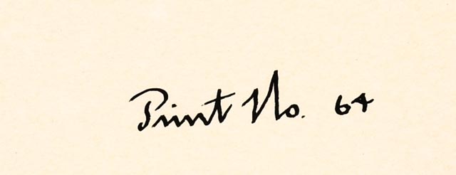 William Zimmerman Offset Lithograph of "Swallow-tailed Kite"