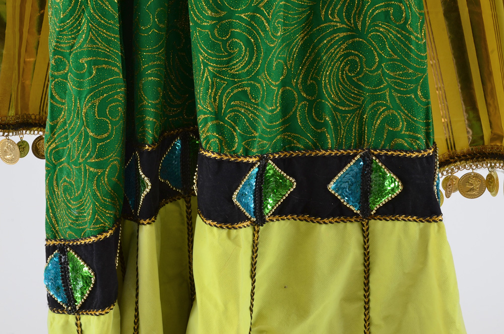 Vibrant Mardi Gras Float Costume with Stand