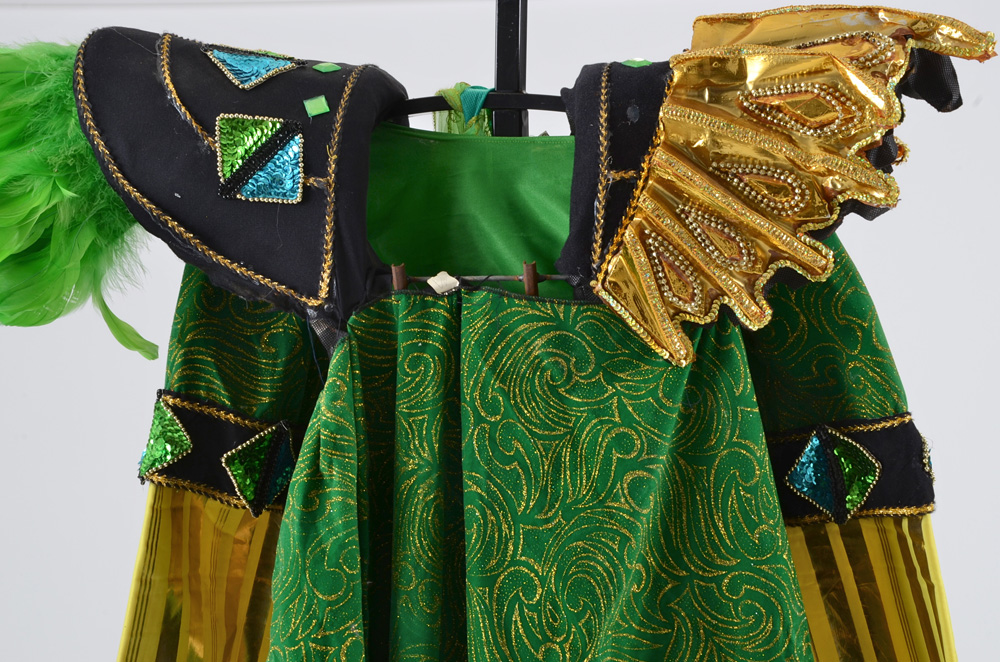 Vibrant Mardi Gras Float Costume with Stand