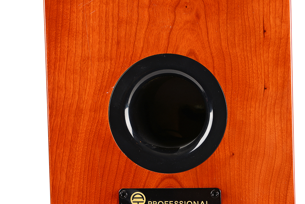 AudioTrak AT-F2 Studio/Home Theater Speakers