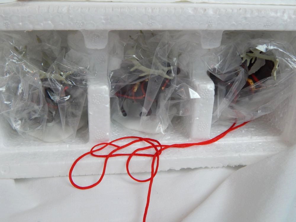 Department 56 North Pole & Alpine Village Collection