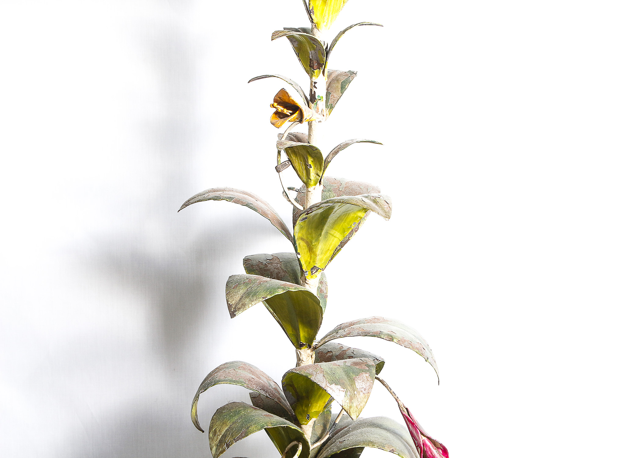 Metal Table Lamp with Gardening and Decor Books