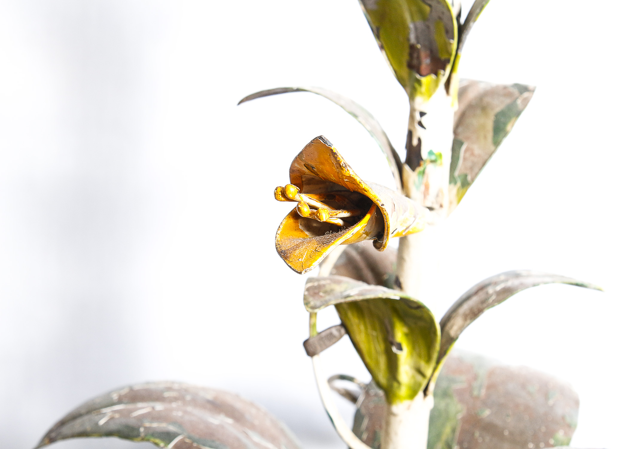 Metal Table Lamp with Gardening and Decor Books