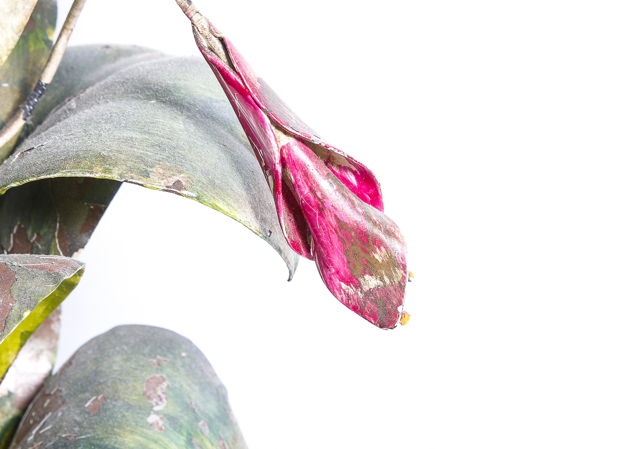 Metal Table Lamp with Gardening and Decor Books